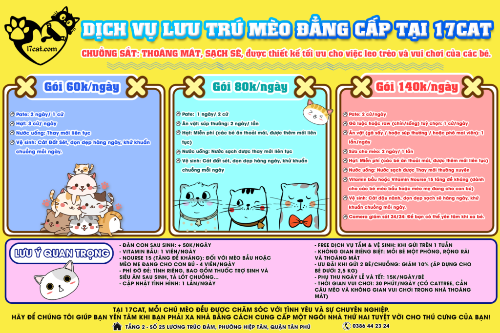 cac goi luu tru cathotel 17cat