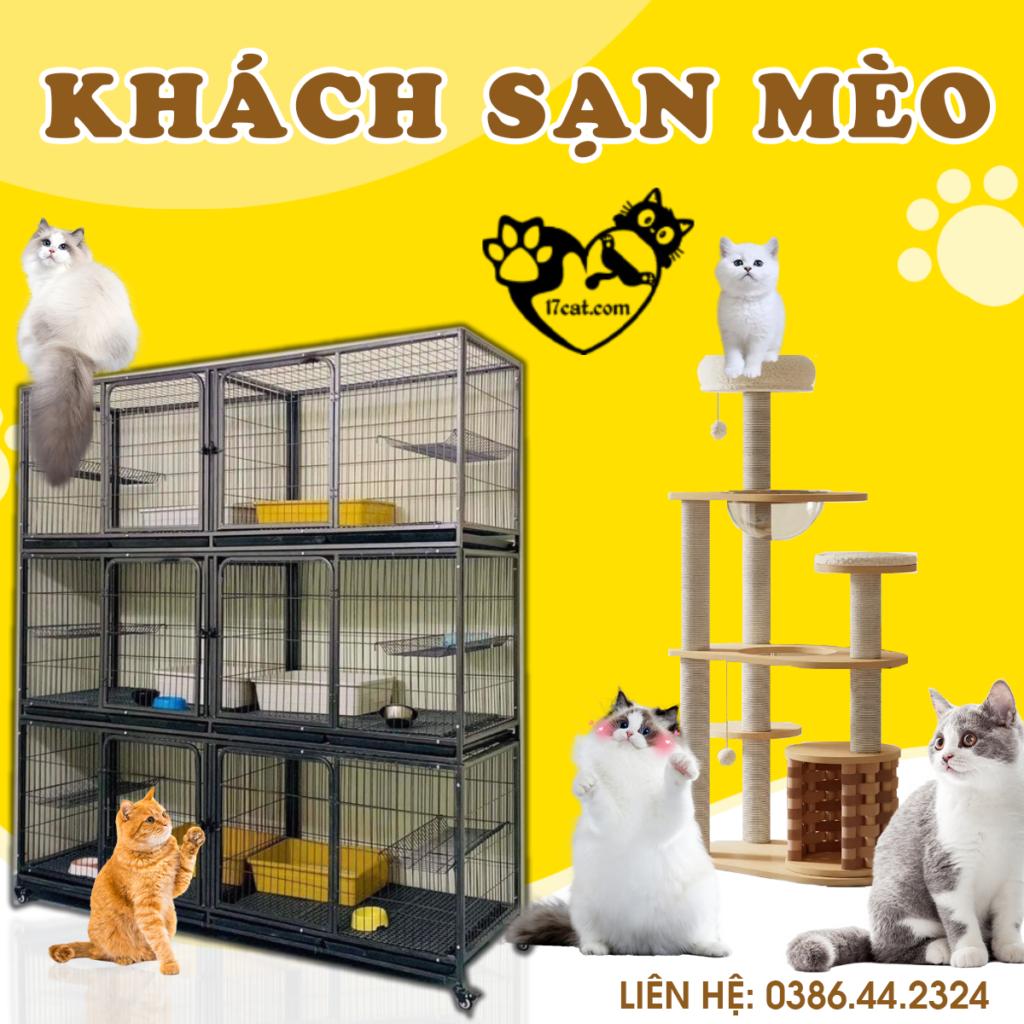 khach san meo 17cat Hotel