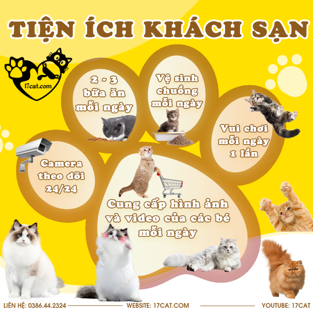 tien ich khach san meo 17cathotel